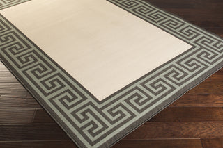 Surya Alfresco ALF-9627 Beige Machine Loomed Area Rug Corner Shot
