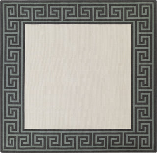 Surya Alfresco ALF-9627 Area Rug 8'9 Square