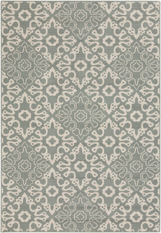 Surya Alfresco ALF-9634 Area Rug