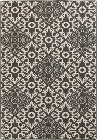 Surya Alfresco ALF-9637 Area Rug Main Image