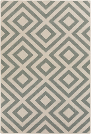 Surya Alfresco ALF-9638 Area Rug main image