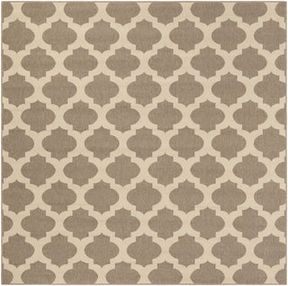 Surya Alfresco ALF-9649 Brown/Neutral Area Rug 8'9'' X 8'9'' Square