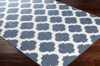 Surya Alfresco ALF-9662 Area Rug Corner Image Feature