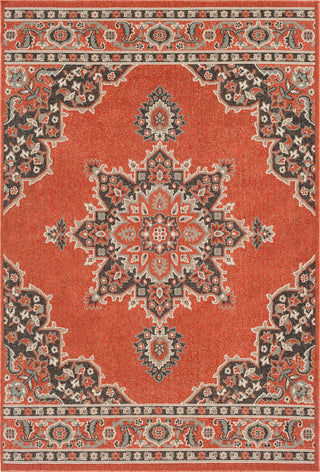 Surya Alfresco ALF-9672 Area Rug main image