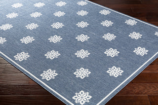 Surya Alfresco ALF-9675 Area Rug Corner Image Feature