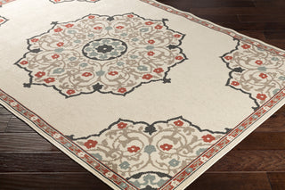Surya Alfresco ALF-9679 Area Rug Corner Image Feature