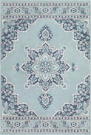 Surya Alfresco ALF-9687 Charcoal Aqua Teal White Area Rug main image