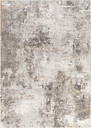 Surya Allegro ALG-2310 Area Rug Main Image 5'3"x7'