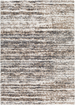 Surya Aliyah Shag ALH-2307 Area Rug Main Image 5'3"x7'3"