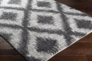 Surya Aliyah Shag ALH-2310 Area Rug