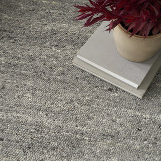 Nourison Alanna ALN01 Grey Area Rug Main Image