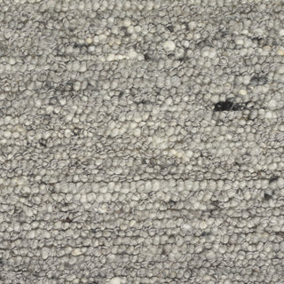 Nourison Alanna ALN01 Grey Area Rug Main Image