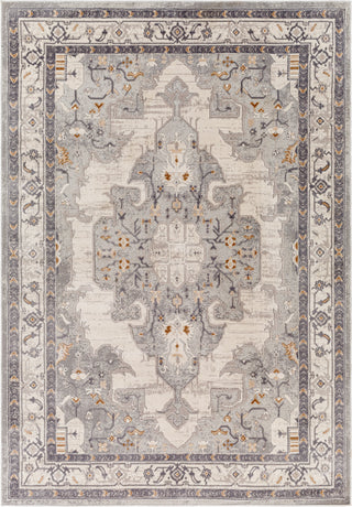 Surya Alamo ALO-2300 Area Rug main image