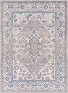 Surya Alamo ALO-2318 Area Rug main image