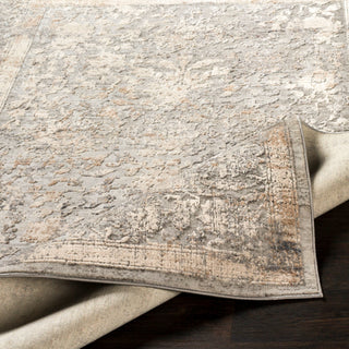 Surya Alpine ALP-2307 Area Rug 