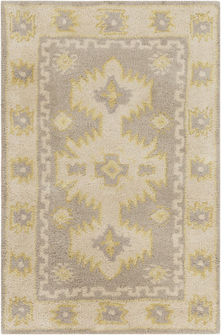 Surya Albuquerque ALQ-400 Grey Area Rug 2' x 3'