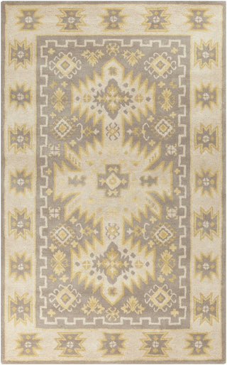 Surya Albuquerque ALQ-400 Grey Area Rug 5' x 8'