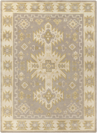 Surya Albuquerque ALQ-400 Grey Area Rug 8' x 11'