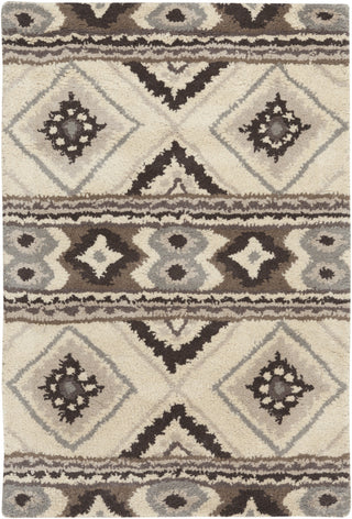 Surya Albuquerque ALQ-402 Light Gray Area Rug 2' x 3'