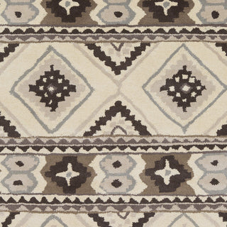 Surya Albuquerque ALQ-402 Light Gray Hand Tufted Area Rug Sample Swatch