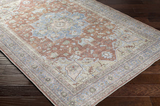 Livabliss Alanya ALY-2300 Area Rug