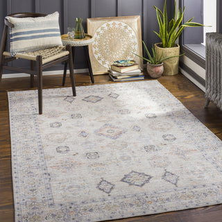 Surya Alanya ALY-2302 Area Rug Room Scene