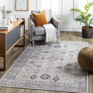 Surya Alanya ALY-2302 Area Rug Room Scene Feature