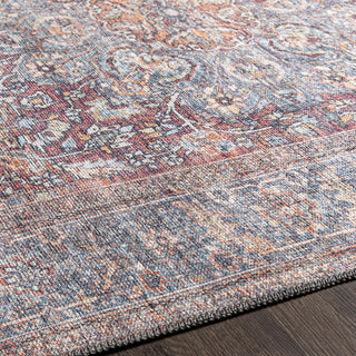 Livabliss Alanya ALY-2304 Area Rug