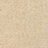 Artistic Weavers Sally Maise ALY6052 Area Rug Swatch