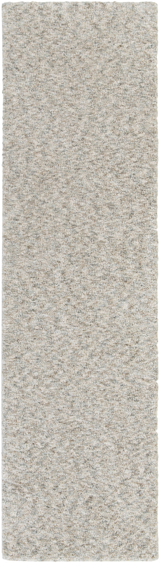 Artistic Weavers Sally Maise ALY6053 Area Rug Runner