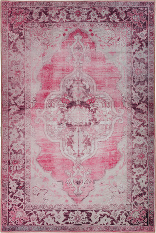 Dalyn Amanti AM1 Blush Area Rug