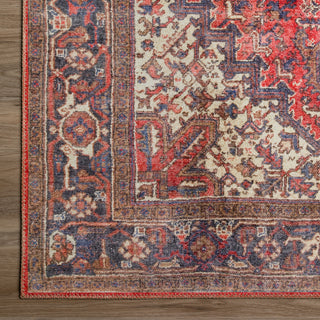 Dalyn Amanti AM3 Cardinal Area Rug