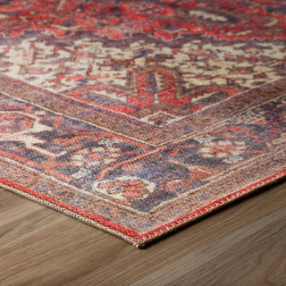 Dalyn Amanti AM3 Cardinal Area Rug