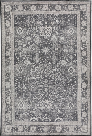 Dalyn Amanti AM4 Dove Area Rug