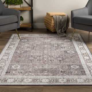 Dalyn Amanti AM4 Mushroom Area Rug