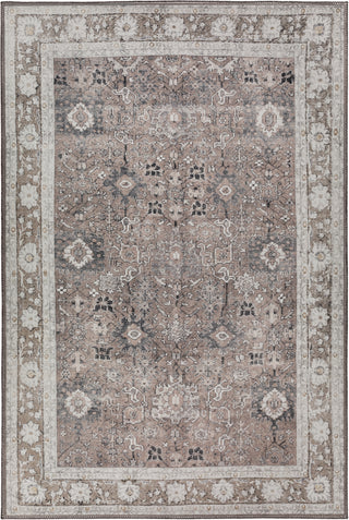 Dalyn Amanti AM4 Mushroom Area Rug