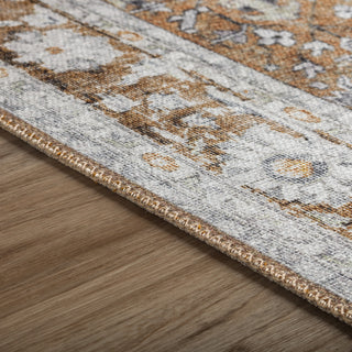 Dalyn Amanti AM4 Walnut Area Rug