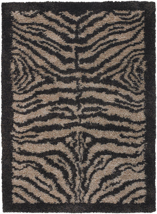 Chandra Amazon AMA-5600 Tan/Brown/Black Area Rug main image