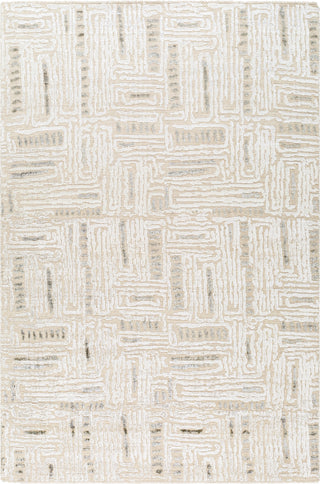 Surya Amina AMA-2303 Area Rug main image