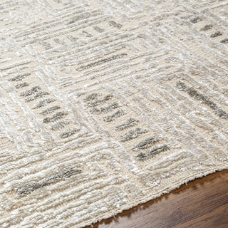 Surya Amina AMA-2303 Area Rug Detail