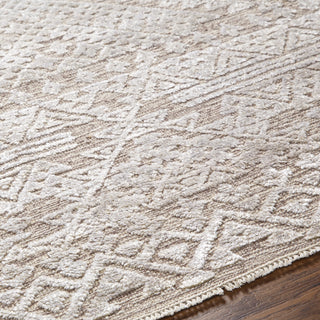 Surya Amina AMA-2304 Area Rug Detail