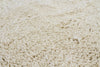 Chandra Ambiance AMB-4200 Ivory Area Rug Close Up