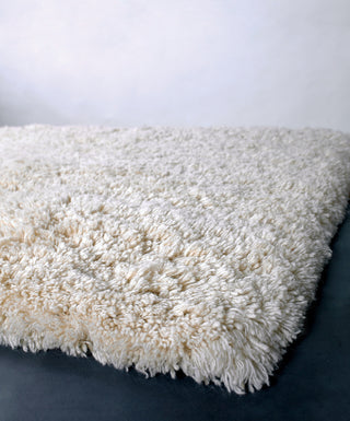 Chandra Ambiance AMB-4200 Ivory Area Rug Corner Shot