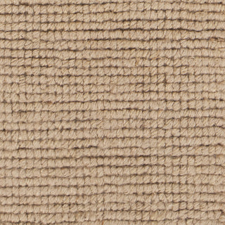 Chandra Amco AMC-36500 Beige Area Rug Close Up