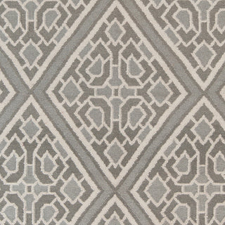 Surya Alameda AMD-1008 Light Gray Hand Woven Area Rug by Beth Lacefield Sample Swatch