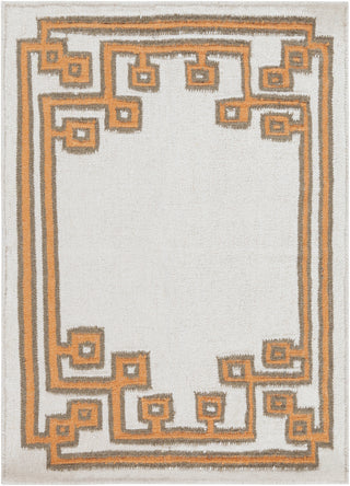 Surya Alameda AMD-1018 Burnt Orange Area Rug by Beth Lacefield 2' x 3'