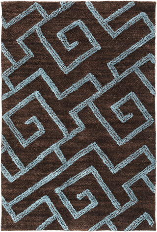 Surya Ameila AME-2240 Teal Area Rug 2' x 3'