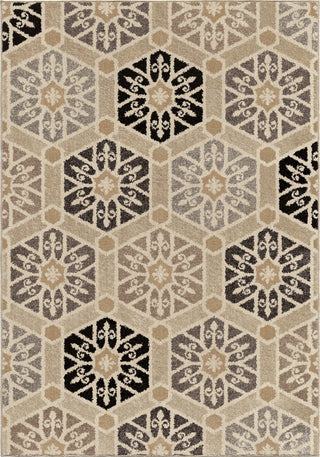 Orian Rugs American Heritage Partha Silverton Area Rug main image