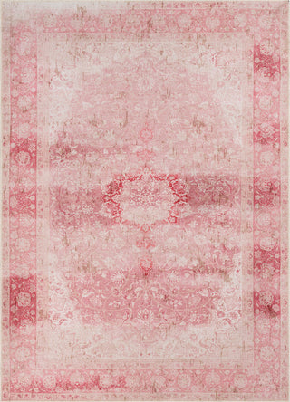 Surya Amelie AML-2301 Blush Rose Butter Olive Area Rug Mirror main image