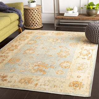 Surya Amelie AML-2302 Area Rug